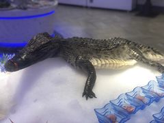 -澜悦港海鲜体验主题餐厅
