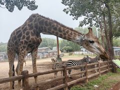 -大连森林动物园