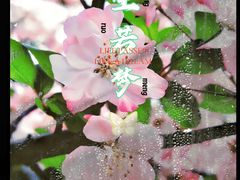 -温江公园