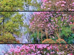 -闻泰花园酒店