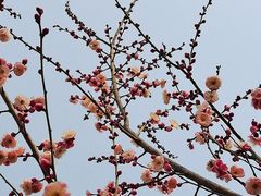 -莲湖公园