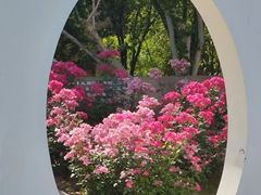 -济南国际园博园