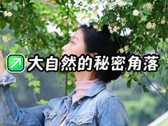 -花溪公园