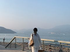 -杨梅坑