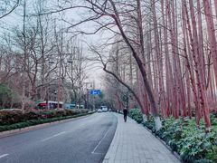 -杭州花家山庄