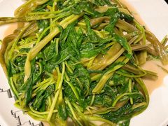 -丰食农家乐