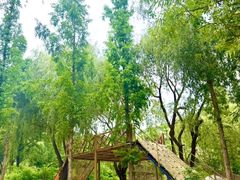 -沂蒙云瀑洞天景区