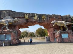 -上海海湾国家森林公园