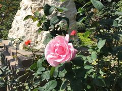 -人民公园(罗湖区)