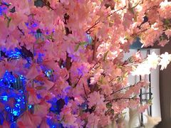 -野妹火锅(龙岗店)