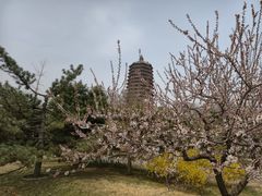 -玲珑塔公园