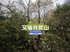 -鹿院坪生态旅游景区
