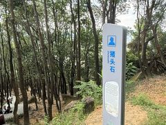-火炉山森林公园