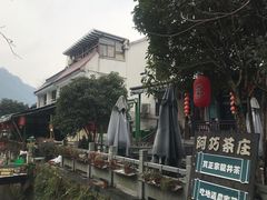 -阿巧茶庄
