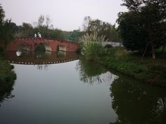 -白鹭湾湿地公园