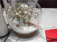 -哈根达斯(SM店)