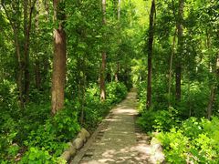 -黑龙江省森林植物园