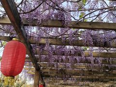 -长安上水缘度假庄园