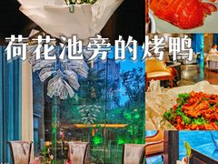 -唐廊烤鸭店(工体店)