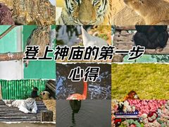 -西霞口神雕山野生动物世界