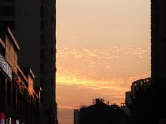 -Willing·Coffee&Brunch&Dinner(万达店)