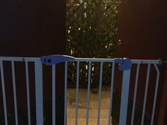 -百好乐宠物友好餐厅(朝外大街店)