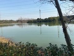 -昆山城市生态森林公园