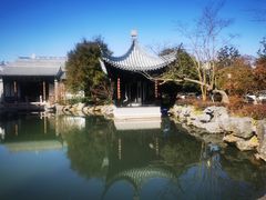 -上海皇廷花园酒店·西餐厅·自助餐