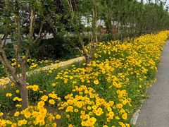 -太阳宫公园