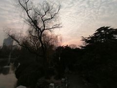 -西苑公园
