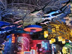 -烟台海昌鲸鲨海洋公园