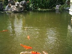 -杭州西湖柳莺里酒店·闻莺厅