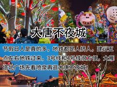 -福苗小骆驼烧烤(大唐不夜城店)