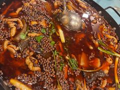 -鸿顺老铁锅美蛙鱼府(解放碑店)
