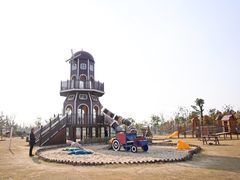 -上海长兴岛郊野公园