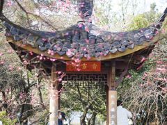 -杭州植物园