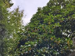 -桂林公园(地铁站)