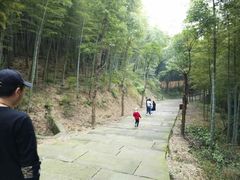 -达蓬山旅游度假区