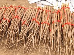 温县麦香铁棍山药-解家河南菜(商鼎路店)