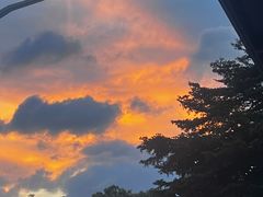 -Apple零售店(深圳益田假日广场店)