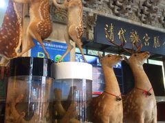 -乔家满族八大碗(流水沟店)