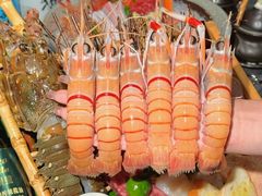 -初色海鲜自助(万丰路店)