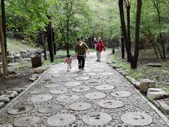 -十渡东湖港风景区