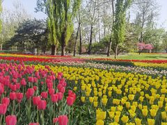 -国家植物园南园