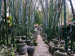 景点-老木棉·匠园