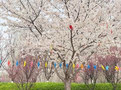 -铁道游击队纪念馆