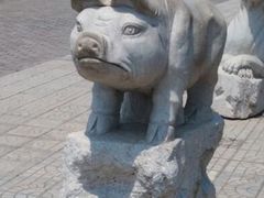 android_upload_pic-白洋淀景区