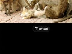 -昆明动物园