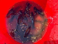 -梁鸿国家湿地公园