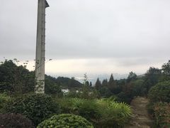 -铁山坪森林公园